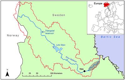 Artificially Induced Floods to Manage Forest Habitats Under Climate Change